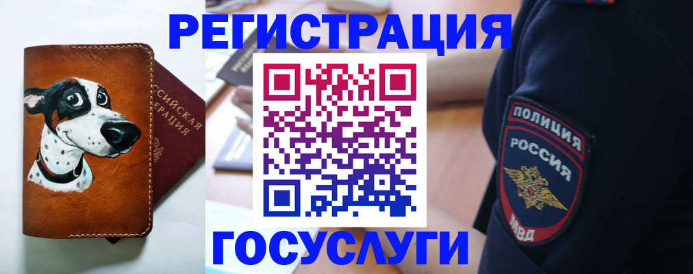 временная регистрация в квартире в Чебаркуле
